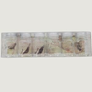 Grant Howard Fresh Embossed 2 oz Mini Glass Jars with Lids 6 Piece Set Rustic